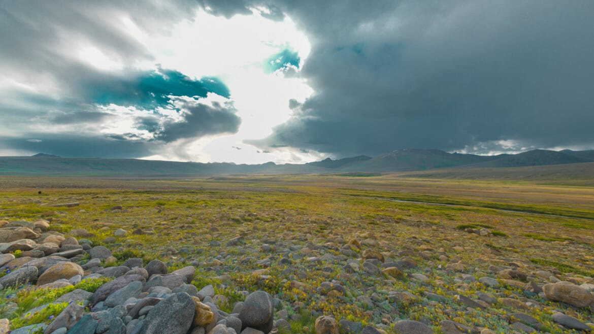 Deosai National Park