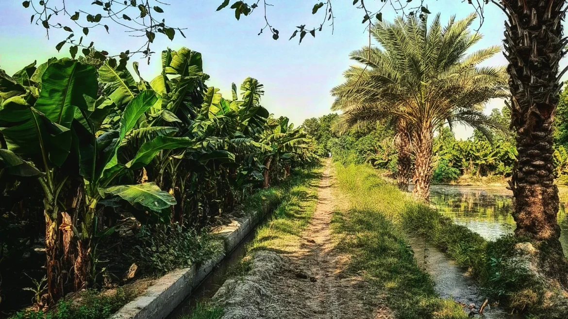 Karoondi, District Khairpur Mirus Sindh Pakistan