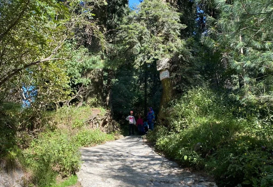 The Ultimate Guide to Hiking Trails in Nathia Gali