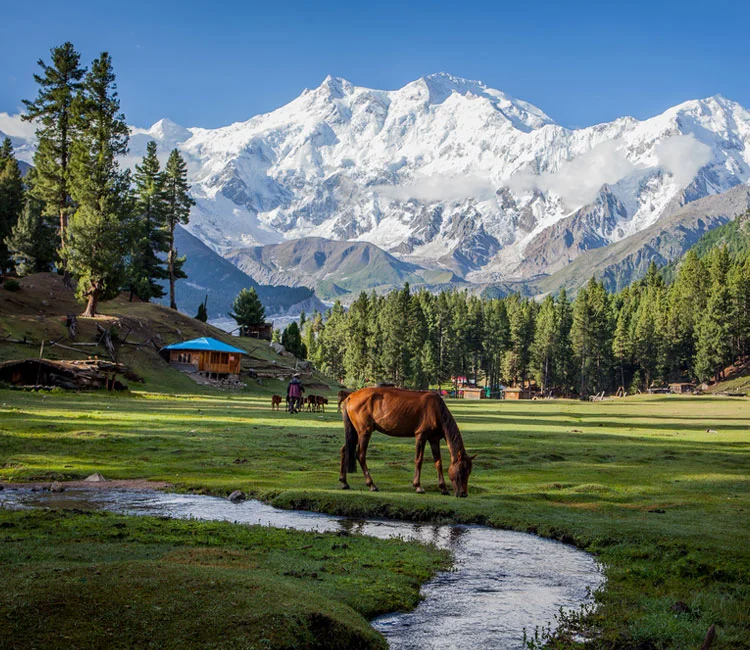 Northern Areas of Pakistan: Best Places to Visit & Travel Guide